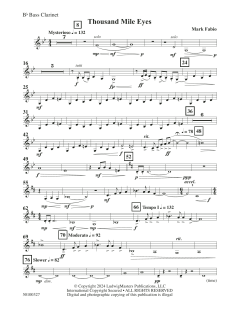 Thousand Mile Eyes von Mark Fabio (Download) 