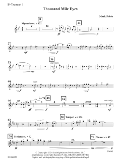 Thousand Mile Eyes von Mark Fabio (Download) 