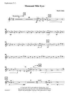 Thousand Mile Eyes von Mark Fabio (Download) 