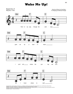 Wake Me Up von Avicii (Download) 