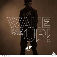 Wake Me Up von Avicii (Download) 