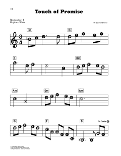 Touch Of Promise von Spencer Brewer (Download) 