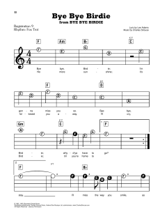 Bye Bye Birdie von Lee Adams (Download) 