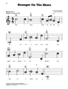 Stranger On The Shore von Acker Bilk (Download) 