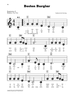 Boston Burglar (Download) 