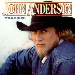 Swingin' von John Anderson (Download) 
