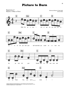 Picture To Burn von Taylor Swift (Download) 