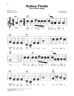 Cotton Fields (The Cotton Song) von Creedence Clearwater Revival (Download) 