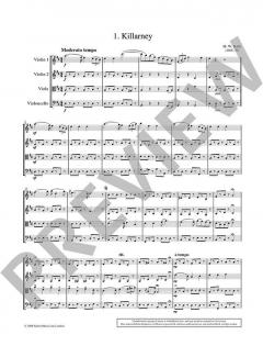 The Wild Rover von Adam Hay 