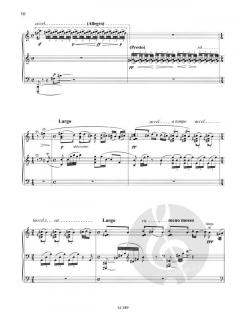 Black Earth op. 8 von Fazil Say 