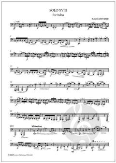 Solo XVIII  von Kalevi Aho 