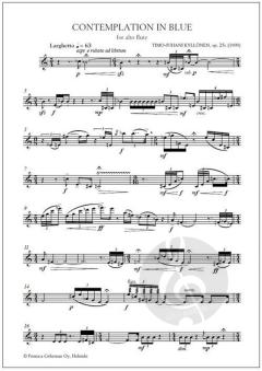Contemplation in Blue  von Timo-Juhani Kyllönen 