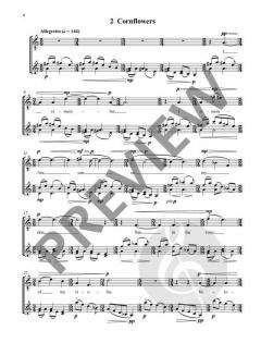 Stolen Songs  von Huw Watkins 