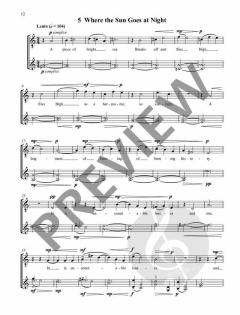 Stolen Songs  von Huw Watkins 