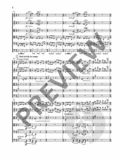 Leopards op. 103  von Fazil Say 