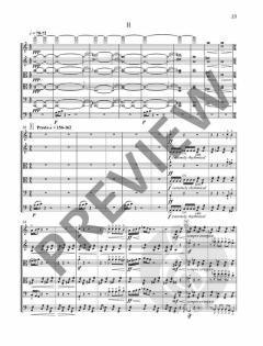 Leopards op. 103  von Fazil Say 