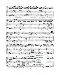 1. Sonate a-Moll op. 3 von Jean-Marie LeClair 