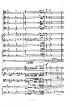 Sinfonie Nr. 9 e-Moll op. 95 B 178 von Antonín Dvorák 