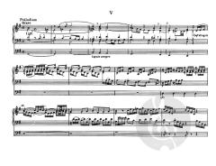 Kleine Präludien und Fugen BWV 553-560 von Johann Sebastian Bach 