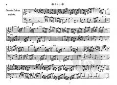 Acht Sonaten für Tasteninstrumente von Franz Anton Maichelbeck 