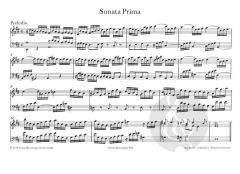 Acht Sonaten für Tasteninstrumente von Franz Anton Maichelbeck 