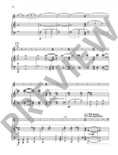 Concerto no. 1 von Pēteris Vasks 