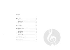 Töne - Lagen - Griffbrett graphisch dargestellt von Beate Albrecht 