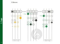 Töne - Lagen - Griffbrett graphisch dargestellt von Beate Albrecht 