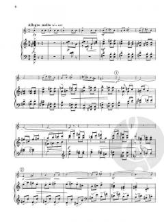 Adagio elegiaco e Rondo von Jan Zdenek Bartos 