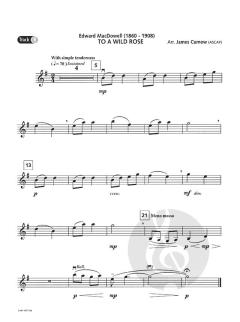 Play The Great Masters für Violine im Alle Noten Shop kaufen