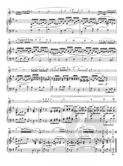 2 Romanzen op. 40 und op. 50 für Violine und Orchester im Alle Noten Shop kaufen