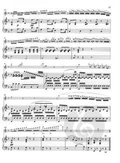 2 Romanzen op. 40 und op. 50 für Violine und Orchester im Alle Noten Shop kaufen