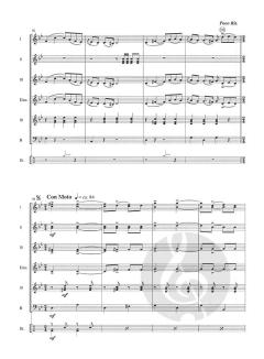 Anitschka von Johan Nijs 