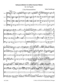 Schneewittchen in 7 kurzen Sätzen von Tobias Teufelberger 