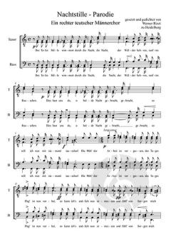 Nachtstille - Parodie von Werner Rizzi 