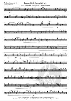 Polenstädtchenmädchen von Gottfried Hummel 