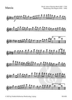 Musik zu Fest und Feier 