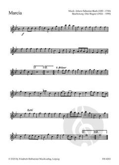 Musik zu Fest und Feier 