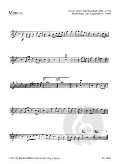 Musik zu Fest und Feier 