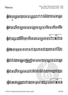 Musik zu Fest und Feier 