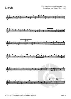 Musik zu Fest und Feier 