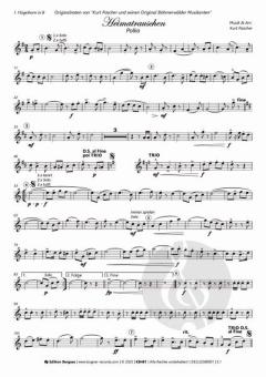 Heimatrauschen - Polka von Kurt Pascher und seine Böhmerwälder Musikanten 