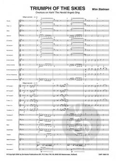 Triumph of the Skies von Wim Stalman 