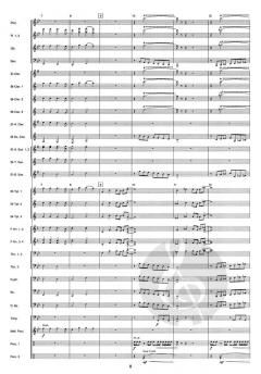 Triumph of the Skies von Wim Stalman 