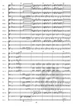 Triumph of the Skies von Wim Stalman 