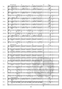 Triumph of the Skies von Wim Stalman 