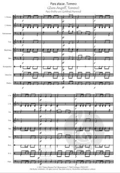 Para atacar, Torrero (Zum Angriff, Torrero) von Gottfried Hummel 