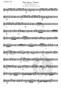 Para atacar, Torrero (Zum Angriff, Torrero) von Gottfried Hummel 