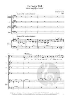 Herbstgefühl von Mathilde Kralik von Meyrswalden 