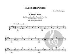 Blues de poche von Jean-Max Frézignac 